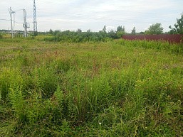 р.п. Большие Дворы, ул. Руфины Красавиной