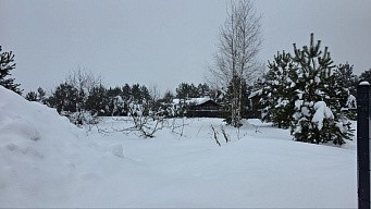 ул. Майская, уч. 25, д. Дмитриво, с. Рахманово, г.о. Павловский Посад