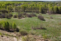 д. Пестово, г.о. Павловский Посад