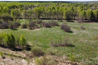 д. Пестово, г.о. Павловский Посад