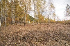 КП Мишутинская слобода, г. Павловский Посад,