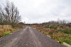 Теренино деревня, г. Павловский Посад