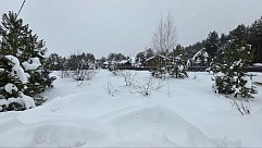 ул. Майская, уч. 25, д. Дмитриво, с. Рахманово, г.о. Павловский Посад