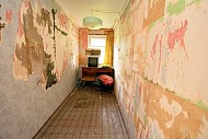 снт Природа-2, уч. 137, г. Павловский Посад