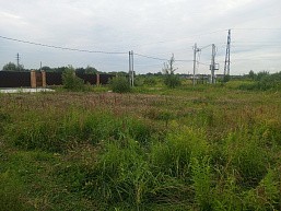 р.п. Большие Дворы, ул. Руфины Красавиной