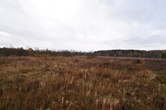 Теренино деревня, г. Павловский Посад