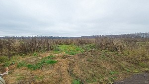 пос. Большое Трубицыно, г. Павловский Посад