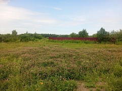 р.п. Большие Дворы, ул. Руфины Красавиной