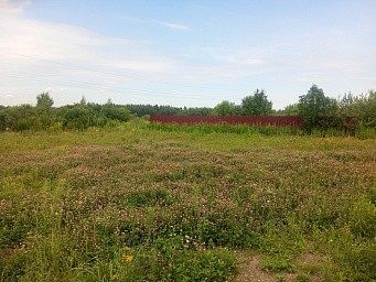 р.п. Большие Дворы, ул. Руфины Красавиной