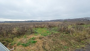 пос. Большое Трубицыно, г. Павловский Посад