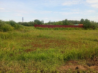р.п. Большие Дворы, ул. Руфины Красавиной