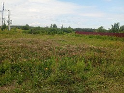 р.п. Большие Дворы, ул. Руфины Красавиной