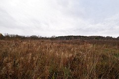 Теренино деревня, г. Павловский Посад